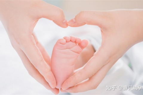 http://changsha.51dzb.net/post/188.html|长沙新闻中心